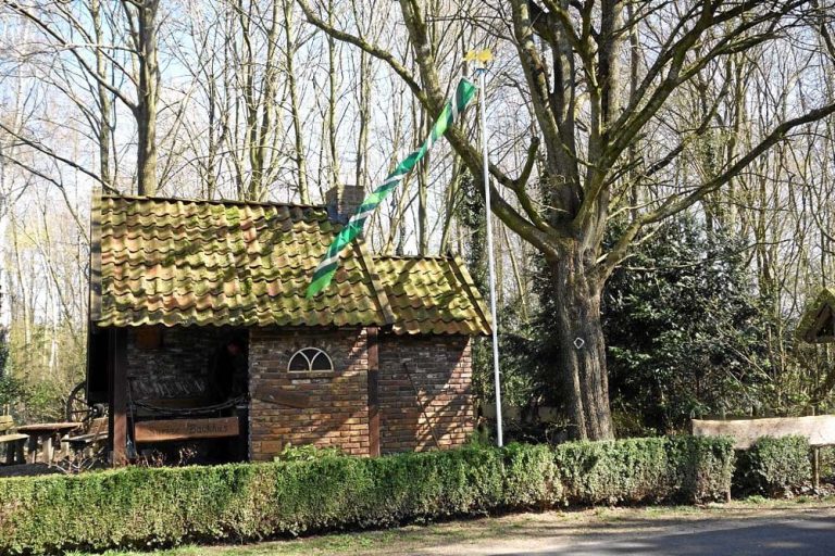 Vlag benadrukt verbondenheid D-NL