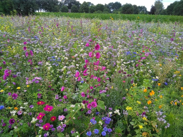 Achterhoek Groen, Natuurlijk!