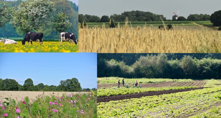 Masterclass-serie voor Achterhoekse foodondernemers