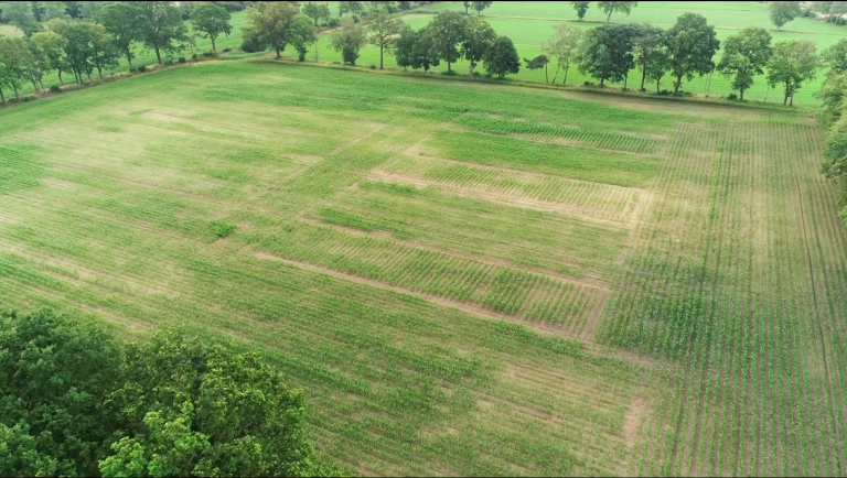 Meer toekomstperspectief nodig voor verduurzaming landbouw