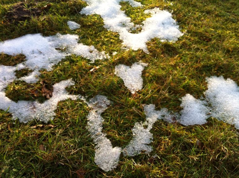Bodemvocht in de Achterhoek eindelijk gestegen dankzij smeltende sneeuw