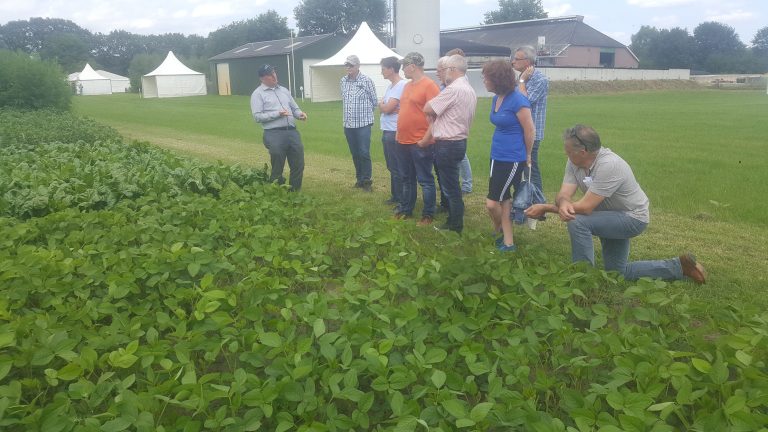 Studiedag veehouderij bij Kenniswerkplaats Achterhoek