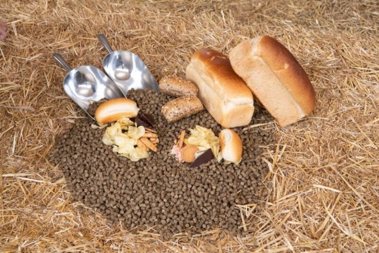 Voerwaarts Sinderen ontwikkelt 100% circulair varkensvoer