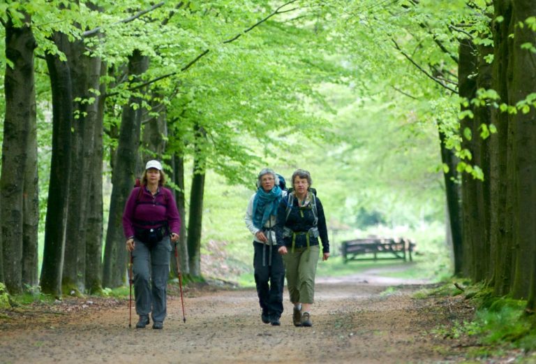 Bronckhorst Wandelgemeente 2018? Stem t/m 20 april!