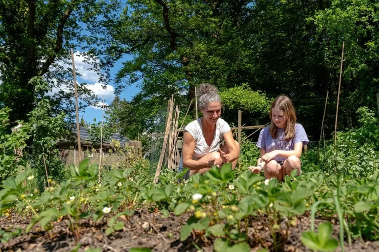 Meld jouw initiatief aan voor Gelderse Duurzame Vrijdag op 14 maart 2025