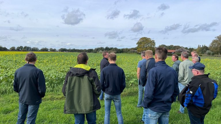 Een groep mensen kijkt uit over een groene akker