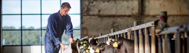 Vergroot je inzicht in de melkveehouderij met praktijkgerichte cursus