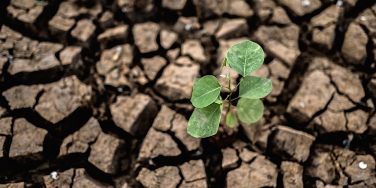 afbeelding van een droge grond