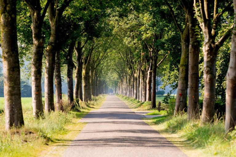 De Achterhoek schetst samen het toekomstbeeld voor de indeling van de ruimte in de regio